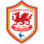 badge of Cardiff City