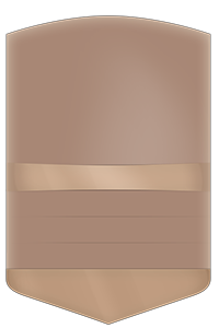 PALMER  bronzebronze