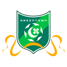 badge of Hangzhou Greentown