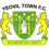 badge of Yeovil Town