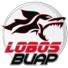 badge of Lobos B.U.A.P.