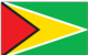 flag of Guyana
