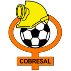 badge of Cobresal