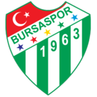 badge of Bursaspor