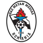 badge of Gaz Metan Mediaş