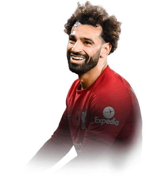 headshot of Salah Mohamed Salah