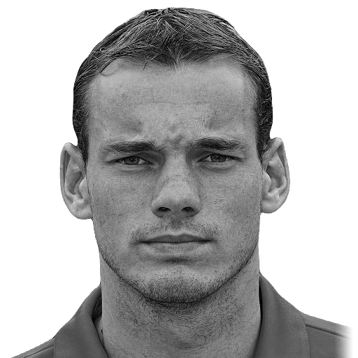 headshot of Wesley Sneijder